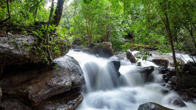 Tranh stream and waterfall